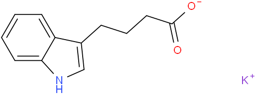 吲哚丁酸钾_3-吲哚丁酸钾_IBA-K
