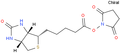 生物素-N-羟基丁二酰亚胺活化脂；(+)-生物素-N-羟基琥珀酰亚胺酯