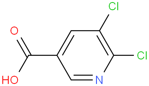 5,6-二氯烟酸