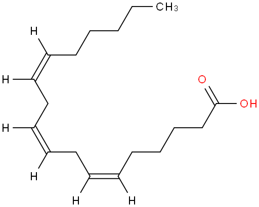 γ-亚麻酸；gamma-亚麻酸